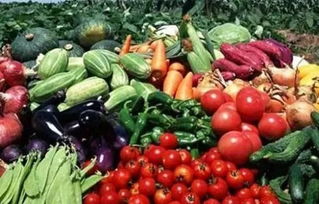 廣大市民注意啦 泊頭市創(chuàng)建省農(nóng)產(chǎn)品質(zhì)量安全縣倡議書