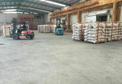 李大虎|16688005180 |山東省濟(jì)寧市金鄉(xiāng)縣大蒜代辦代收經(jīng)紀(jì)人|