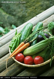 一籃綠色蔬菜水果圖片