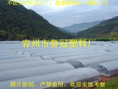 蔬菜大棚膜廠家||大棚膜供應商//大棚塑料薄膜廠家圖片|蔬菜大棚膜廠家||大棚膜供應商//大棚塑料薄膜廠家產品圖片由青州市魯冠塑料廠公司生產提供-