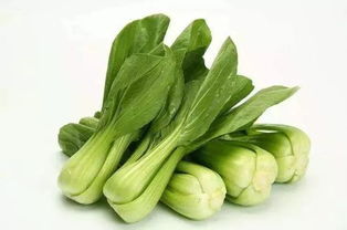 每周快檢 本周,金灣有哪些市場的菜被檢出不合格 趕緊收下這份檢測報告