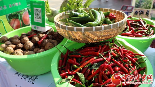 蘭州市西固區舉辦2024年中國農民豐收節慶祝活動