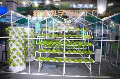 新主體、新技術、新產品 從今年農博會看&ldquo;浙&rdquo;有新能力