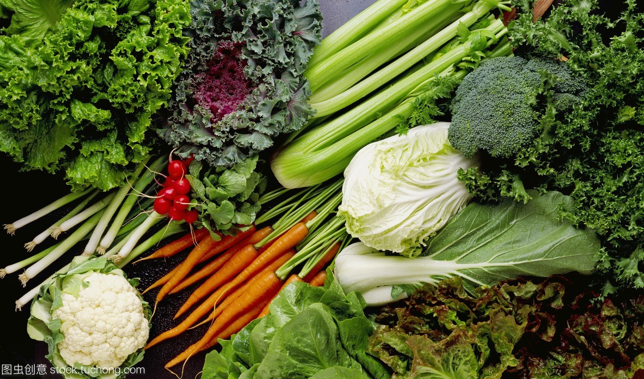 農業(yè)什錦蔬菜安排萵苣,綠葉和紅葉生菜,胡蘿卜,蘿卜,芹菜,花椰菜,卷心菜大蔥西蘭花開花甘藍,白菜和萵苣菜;在工作室