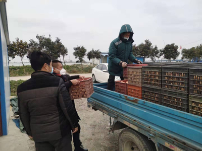 疫情前,農副產品&ldquo;大聯銷&rdquo;助農戶&ldquo;產銷無憂&rdquo;