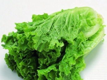 廣州市場大米、農副產品批發與大型蔬菜配送公司的全方位解析